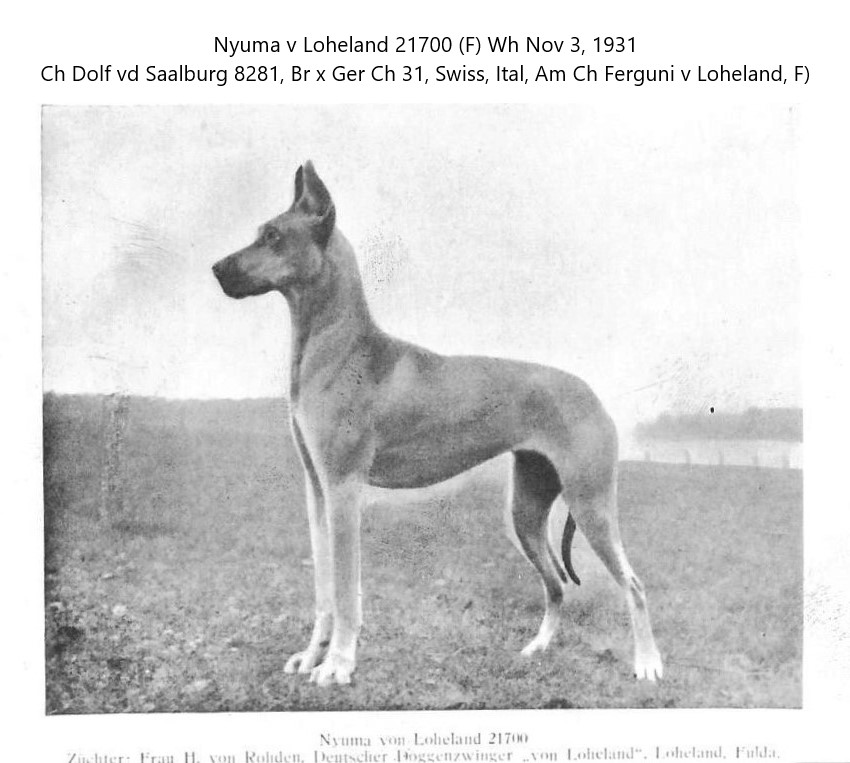 Nyuma von Loheland